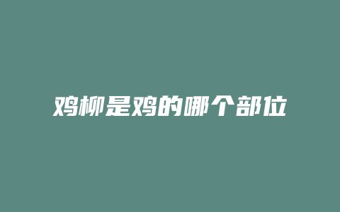 鸡柳是鸡的哪个部位