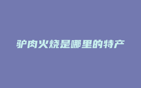 驴肉火烧是哪里的特产