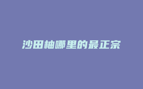 沙田柚哪里的最正宗