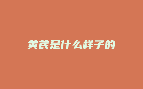 黄芪是什么样子的