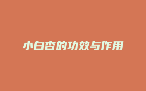 小白杏的功效与作用