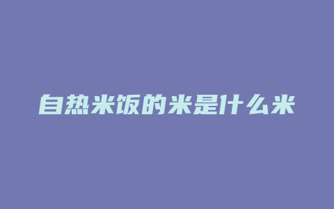 自热米饭的米是什么米