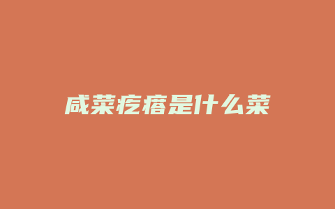 咸菜疙瘩是什么菜