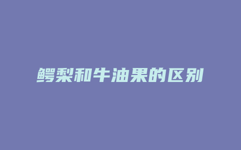 鳄梨和牛油果的区别