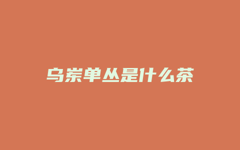 乌岽单丛是什么茶