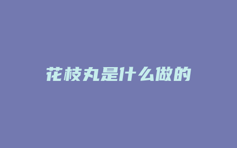 花枝丸是什么做的