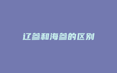 辽参和海参的区别