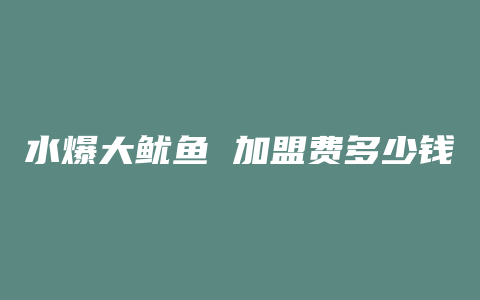 水爆大鱿鱼 加盟费多少钱