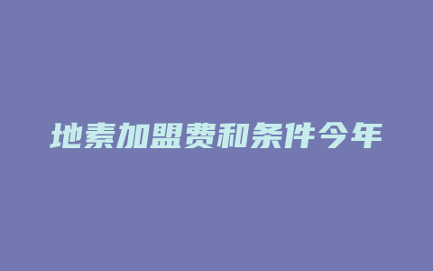 地素加盟费和条件今年