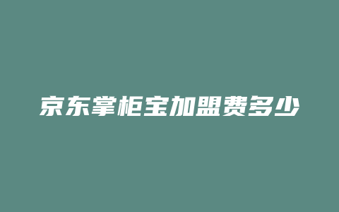 京东掌柜宝加盟费多少