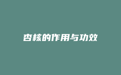 杏核的作用与功效