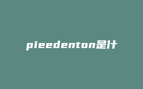 pieedenton是什么品牌